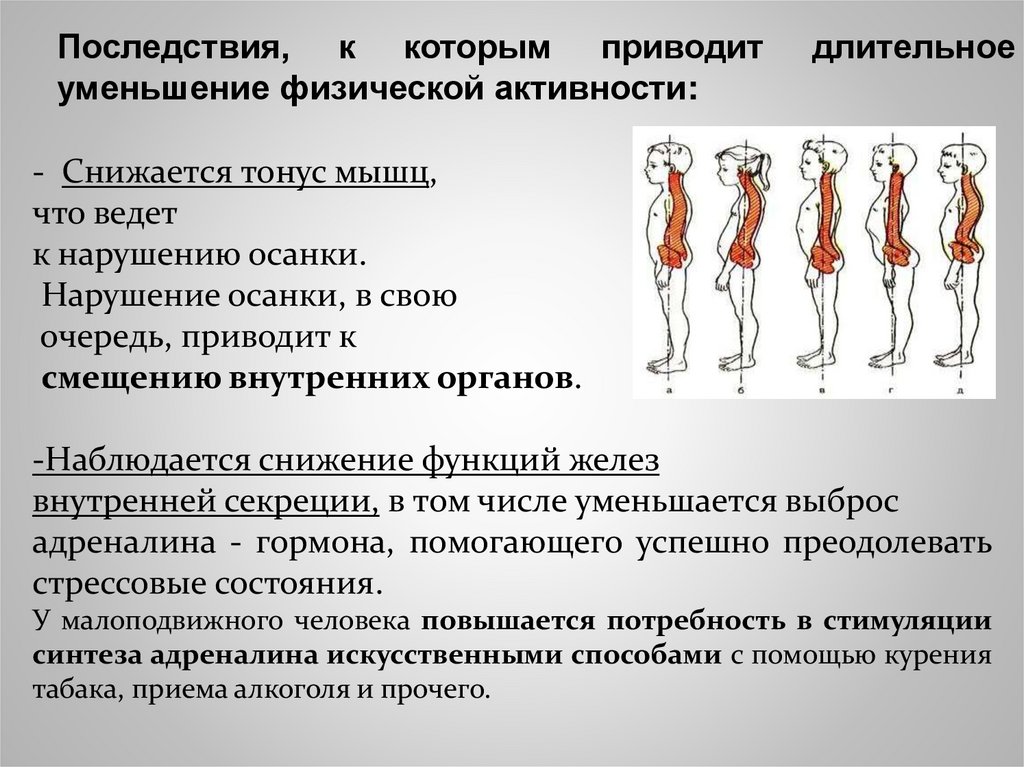 При снижении физической активности необходимо