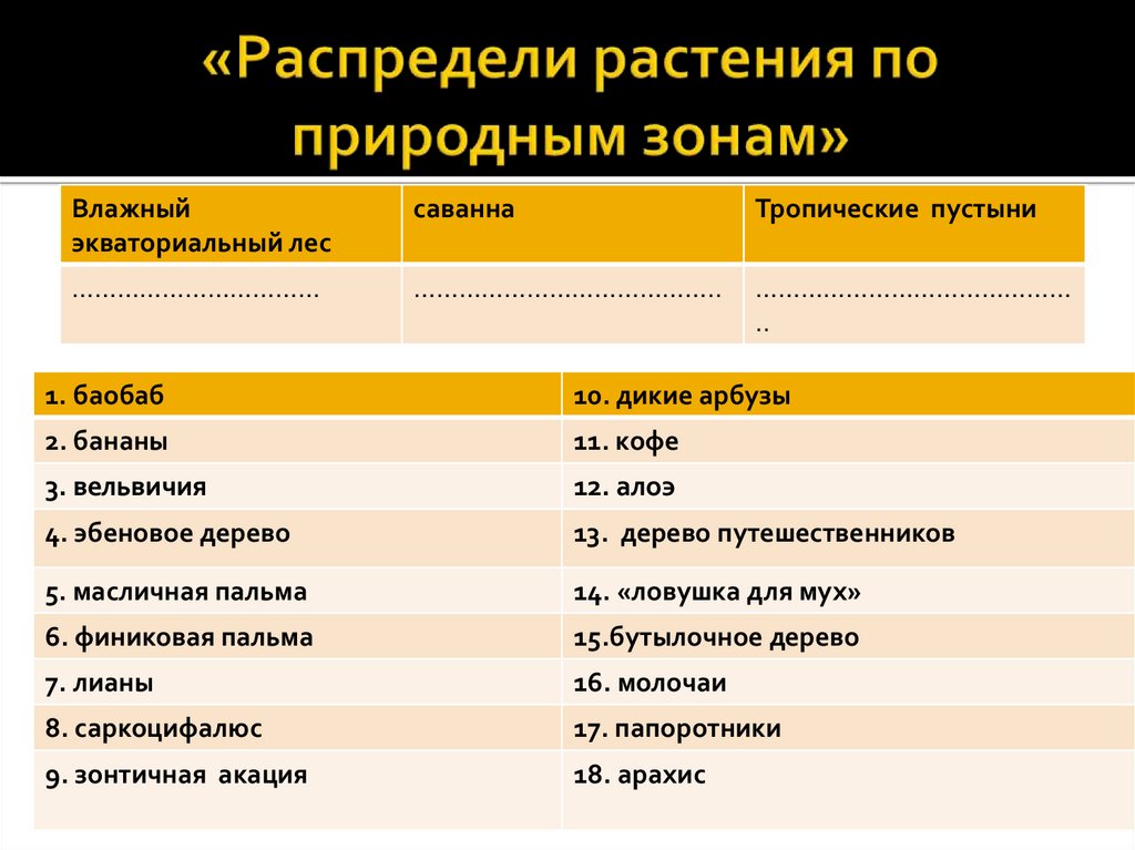 Распределите растения по 3 группам