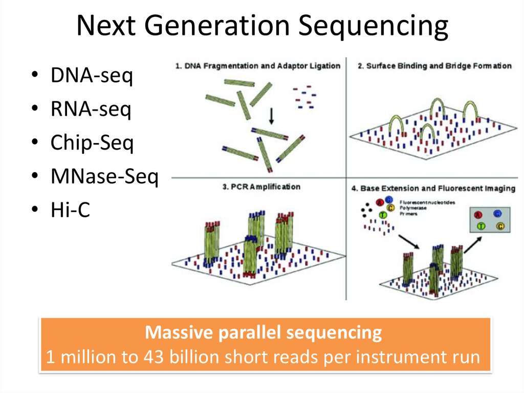 Секвенирование нового поколения. Секвенирование next Generation. Next-Generation sequencing секвенирование следующего поколения. Секвенирование ДНК Illumina. Next Generation sequencing.