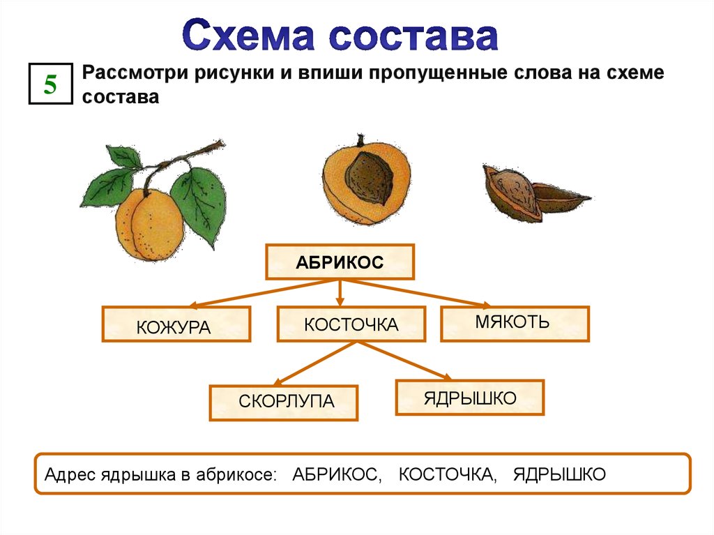 Из чего состоит схема