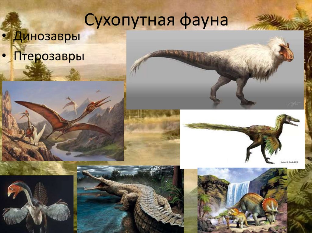 Эра мезозойская биология 9 класс. Меловой период мезозойской эры. Животный мир мезозойской эры. Мезозойская Эра растительный мир. Динозавры мезозойской эры с названием.