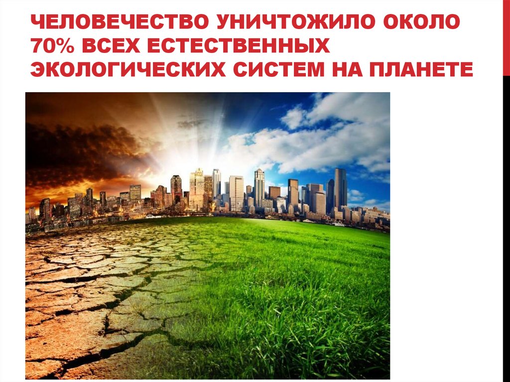 человечество уничтожило около 70% всех естественных экологических систем на планете