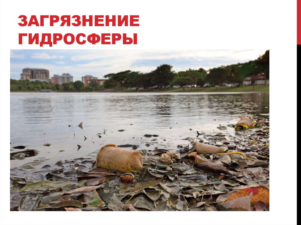 ЗАГРЯЗНЕНИЕ ГИДРОСФЕРЫ