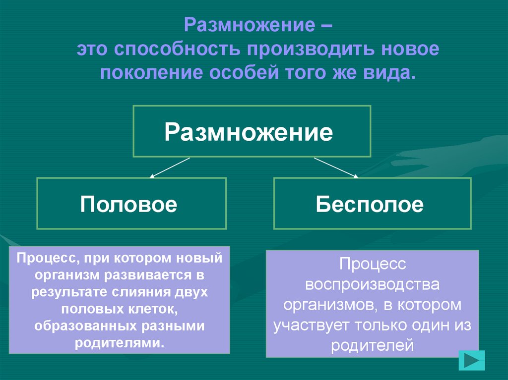 Презентация по биологии 10 класс бесполое и половое размножение