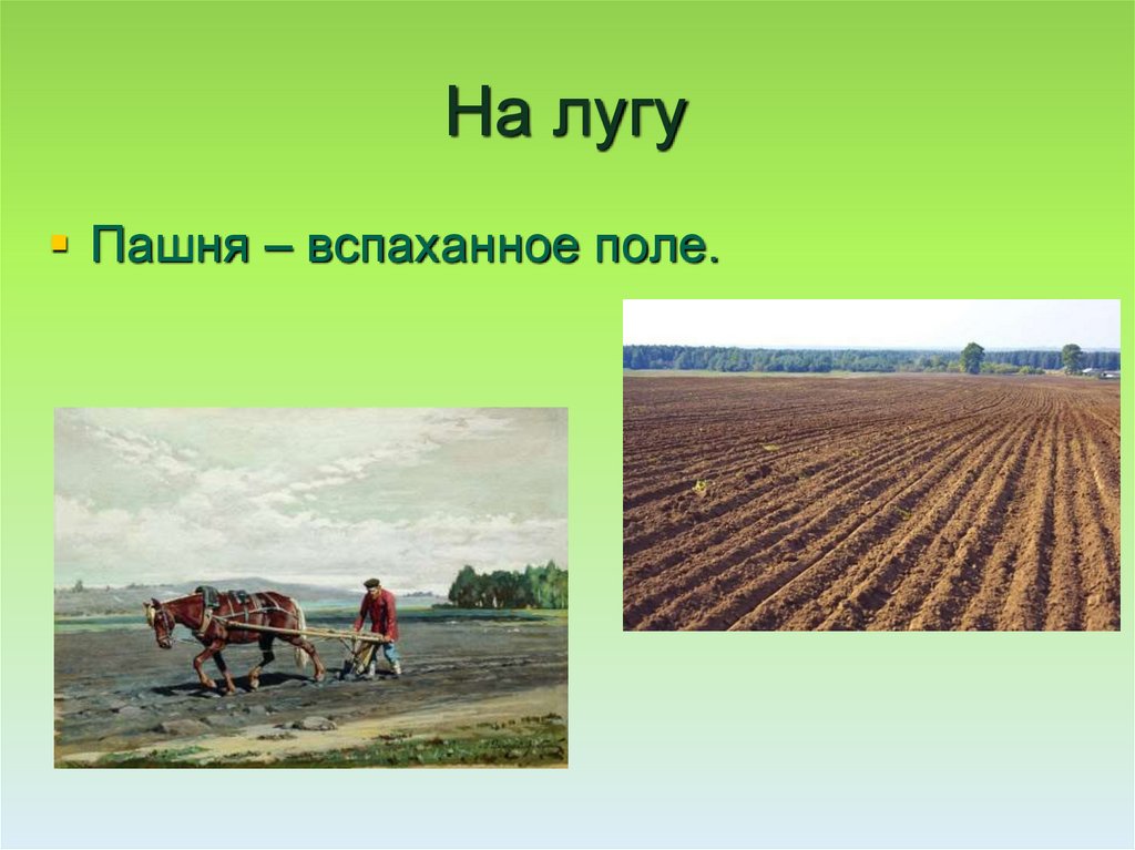 Пашня. Пашня презентация. Блок на лугу. Луга и пашни.