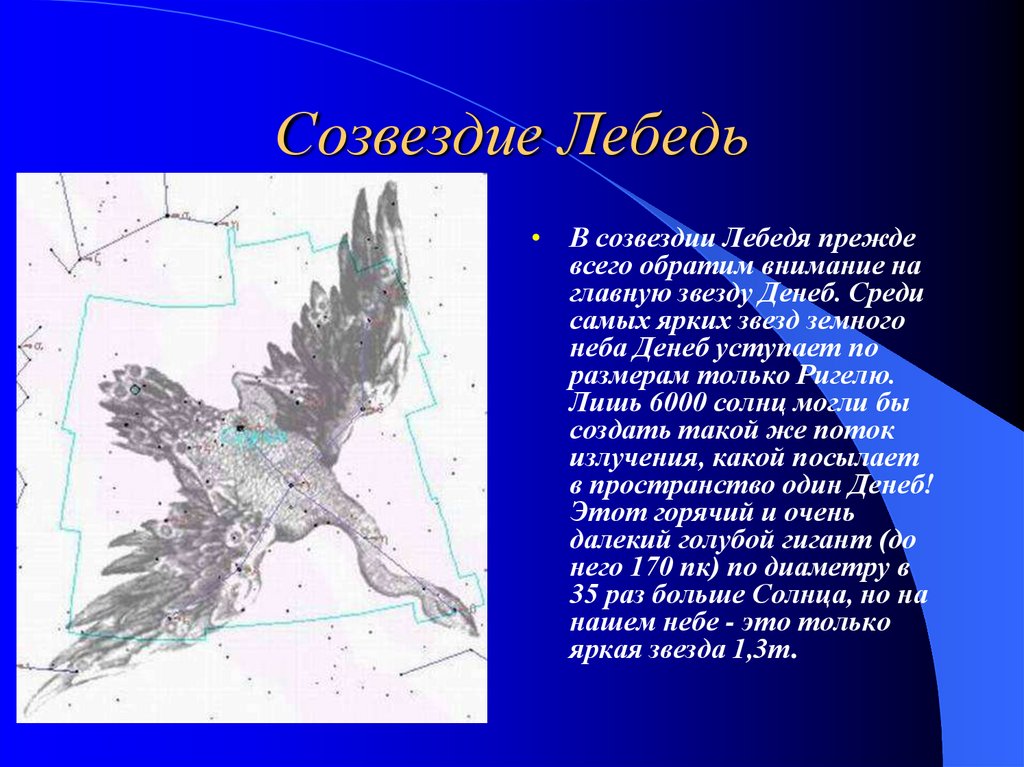 Созвездие осеннего неба рассказ. Рассказ о созвездии. Рассказ о созвездии осеннего неба. Созвездие лебедь. Доклад о созвездии.