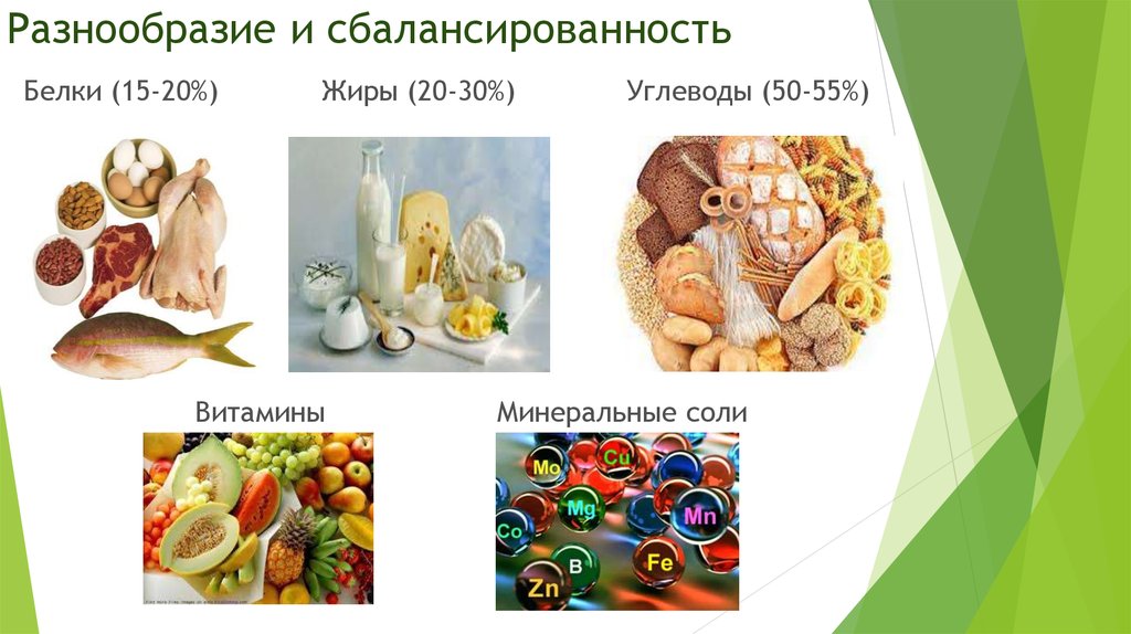 Разнообразие и сбалансированность