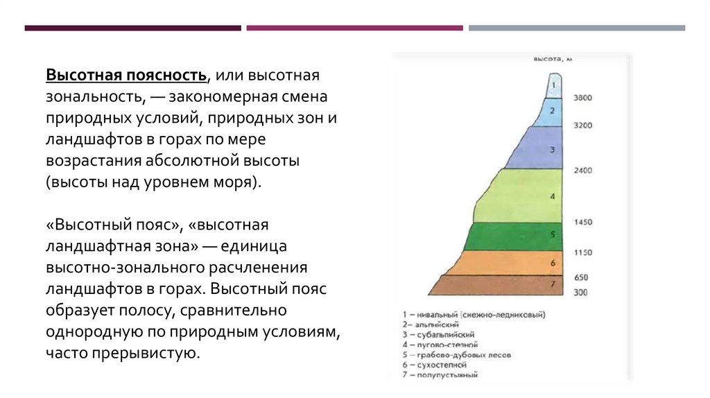 Объяснить различия структуры высотной поясности. Зональность Высотная поясность. Природная зона субтропики Высотная поясность. Высотная поясность в горах России 8 класс. Высотная поясность горы Марра.