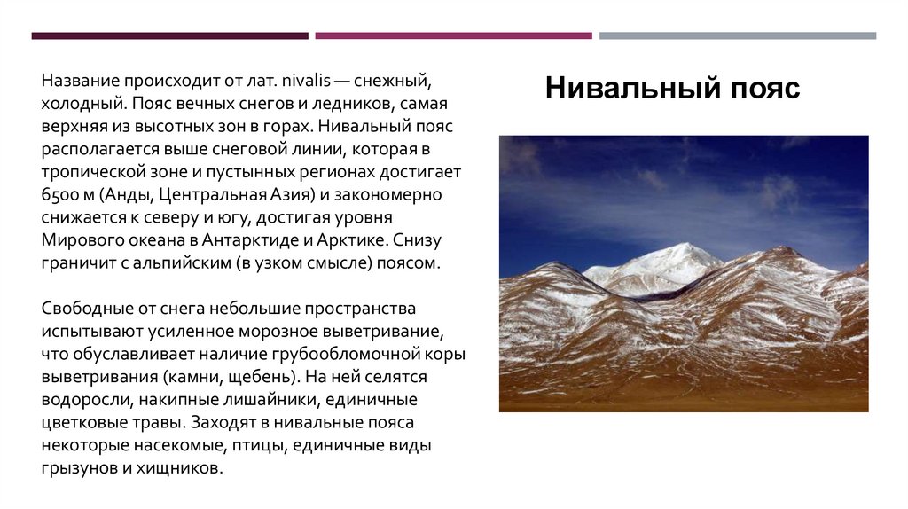 В каких горах происходит. Нивальный пояс в горах. Пояс вечных снегов. Нивальный пояс схема. Высотные зоны нивальня.