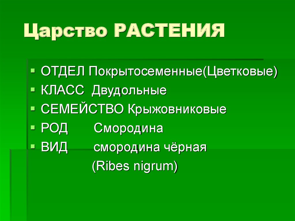 Царство отдел род вид растения