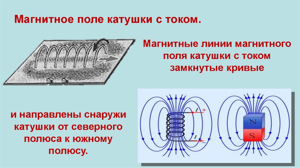 Как выглядит изображение правой руки