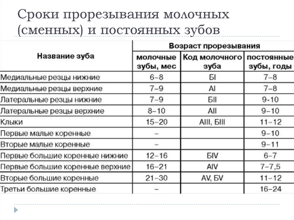 Сроки прорезывания