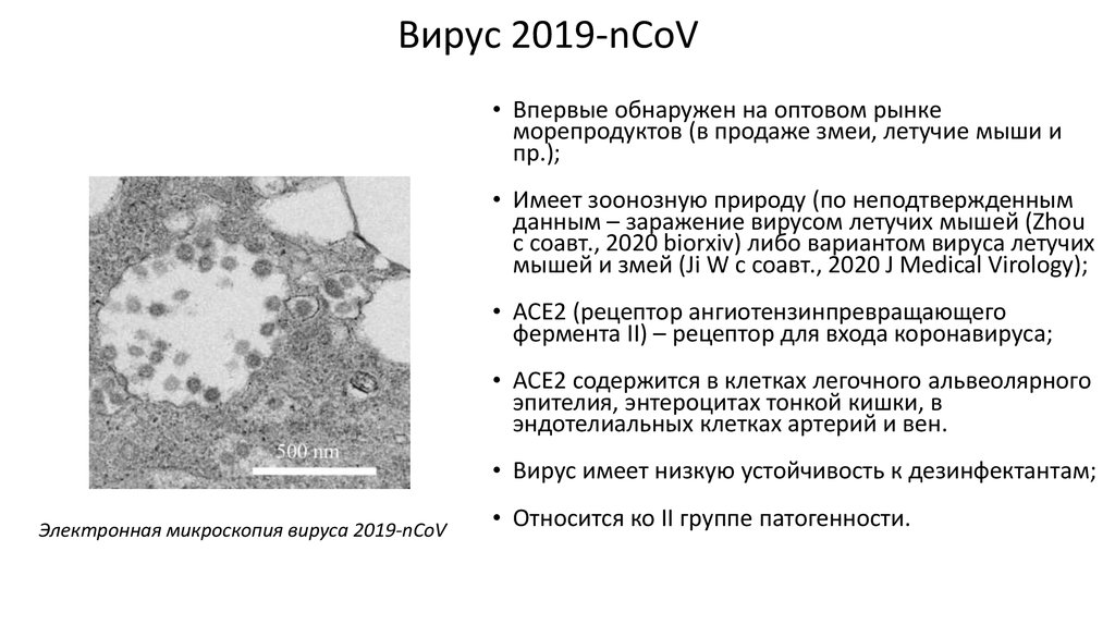 Вирус 2019-nCoV