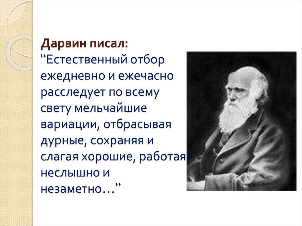 Естественный отбор 11 класс презентация