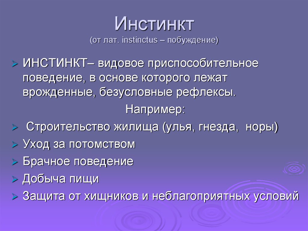 Эволюция инстинкта