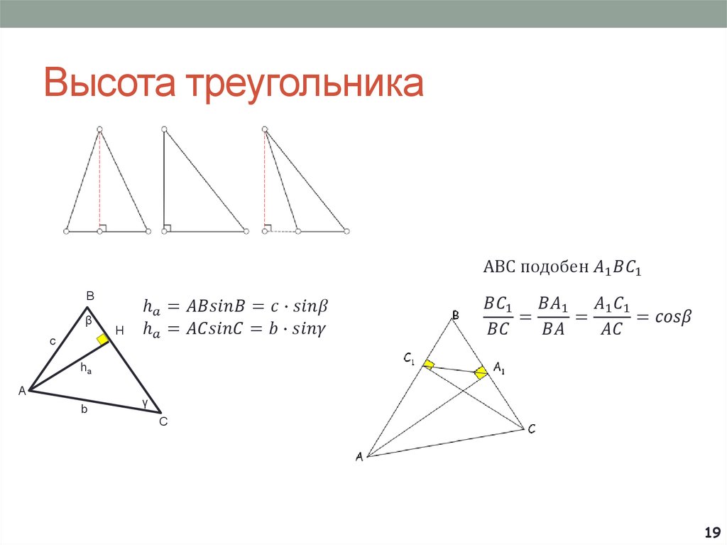 Высота треугольника