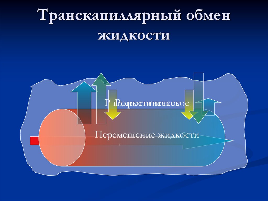 Перемещение жидкости. Транскапиллярное перемещение жидкости фильтрация. Транскапиллярный обмен жидкости. Схема транскапиллярного обмена. Механизм транскапиллярного обмена физиология.