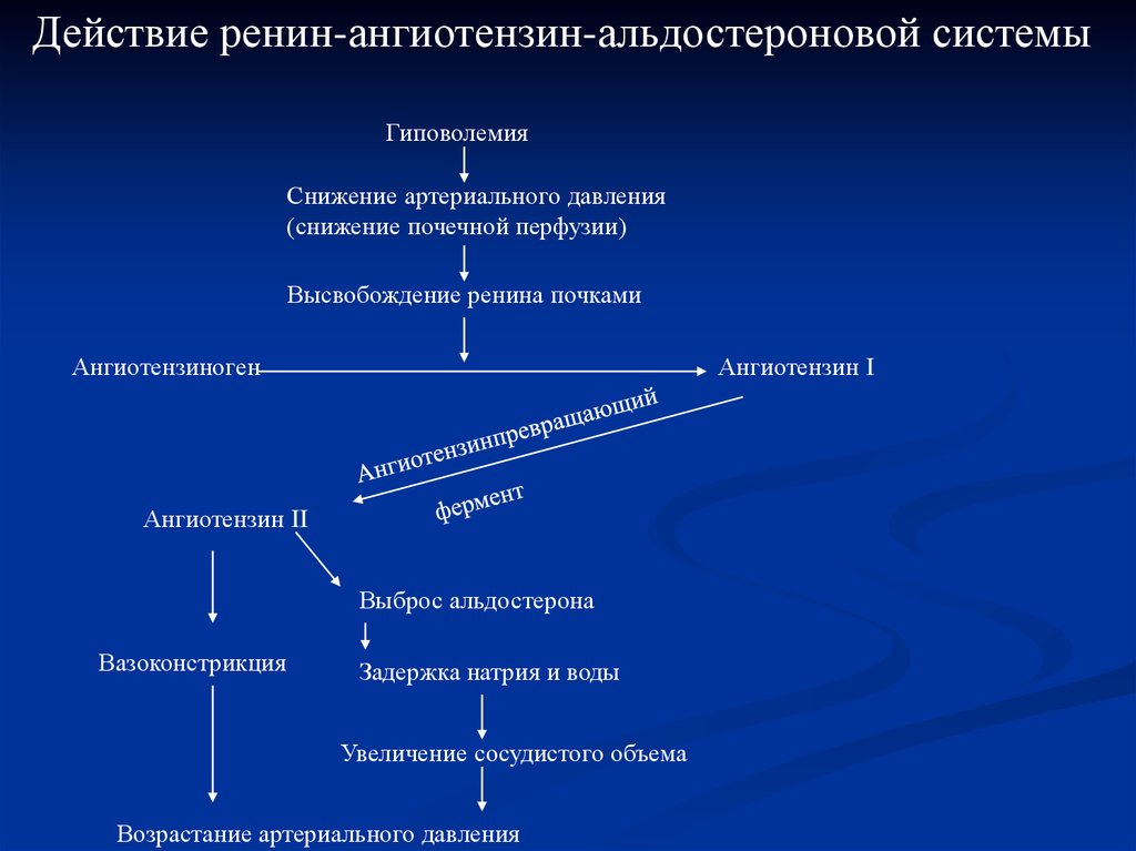 Схема патогенеза артериальной гипертензии с учетом роли ренин ангиотензин альдостероновой системы