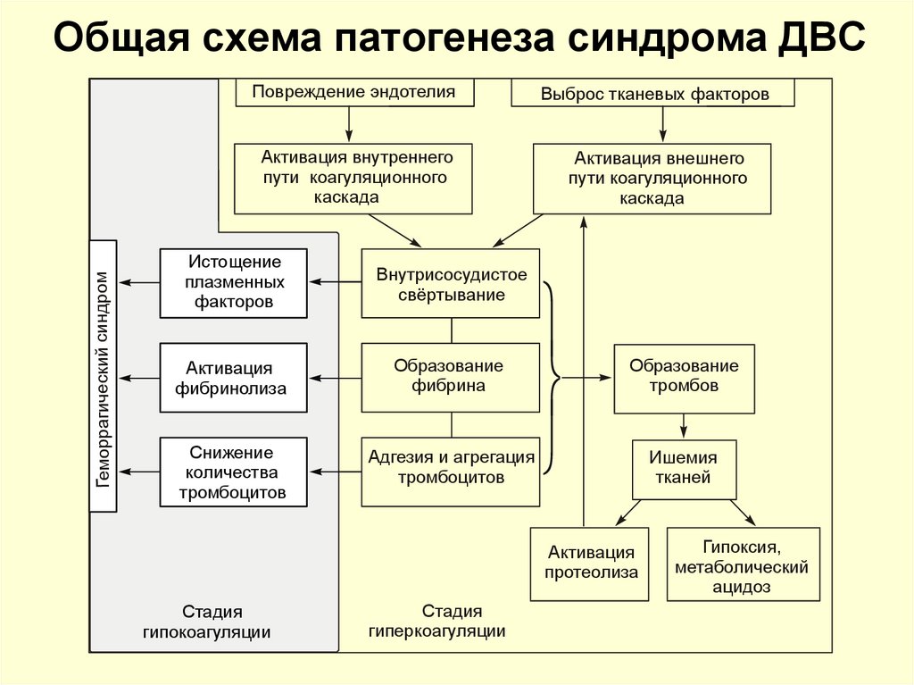 Схема двс синдрома