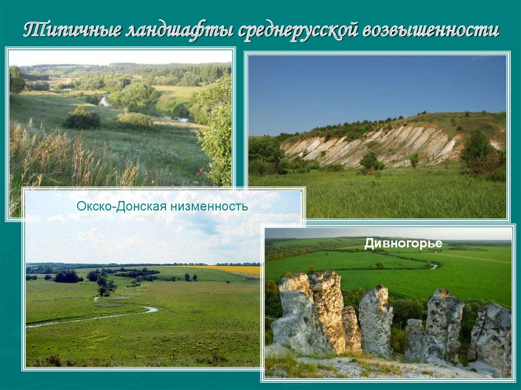 Окская равнина