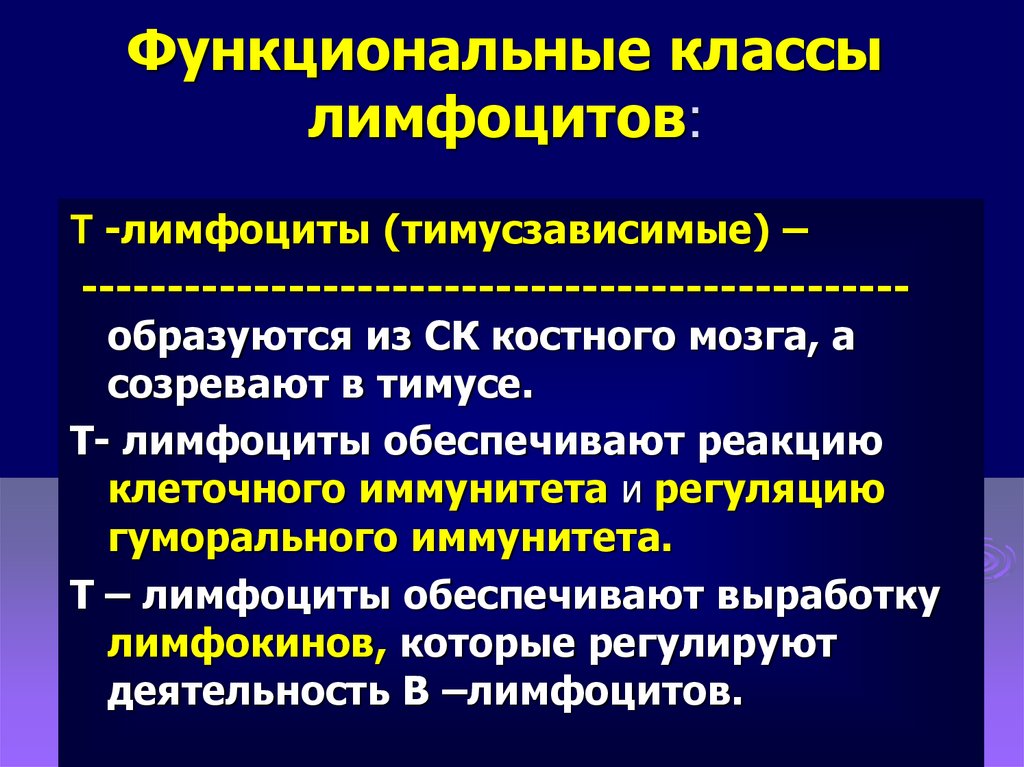 Функциональный класс 0. Функциональные классы лимфоцитов. Тимусзависимые лимфоциты. В тимусе созревают т лимфоциты. Функциональный класс.