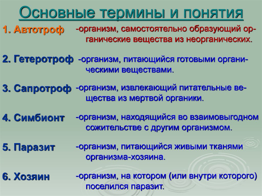 Главные термины