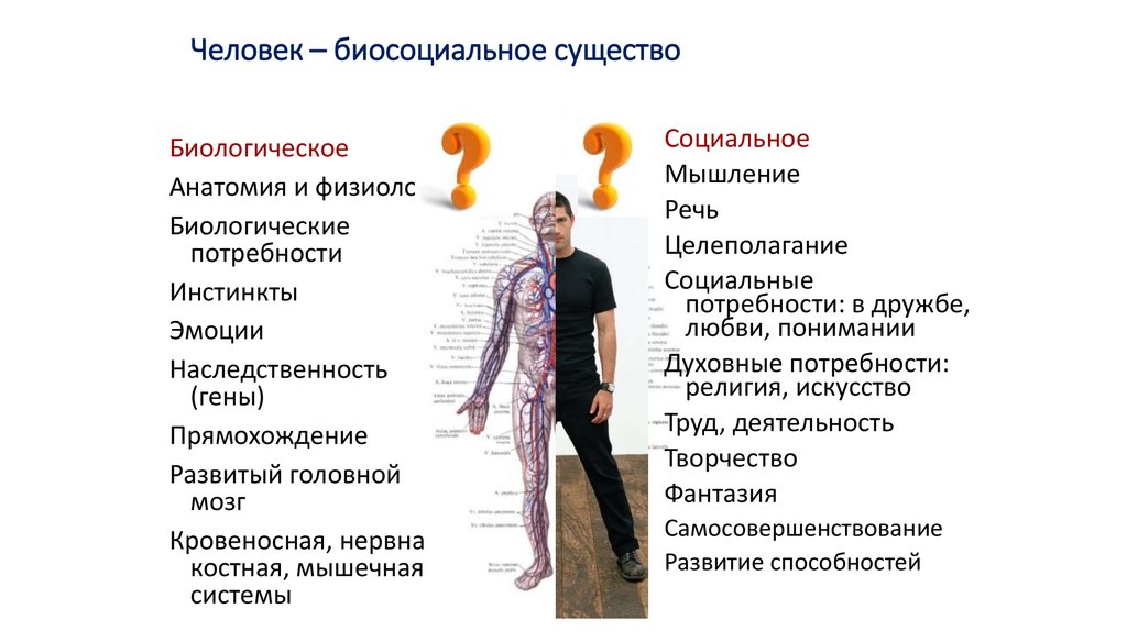 Человек существо биосоциальное презентация