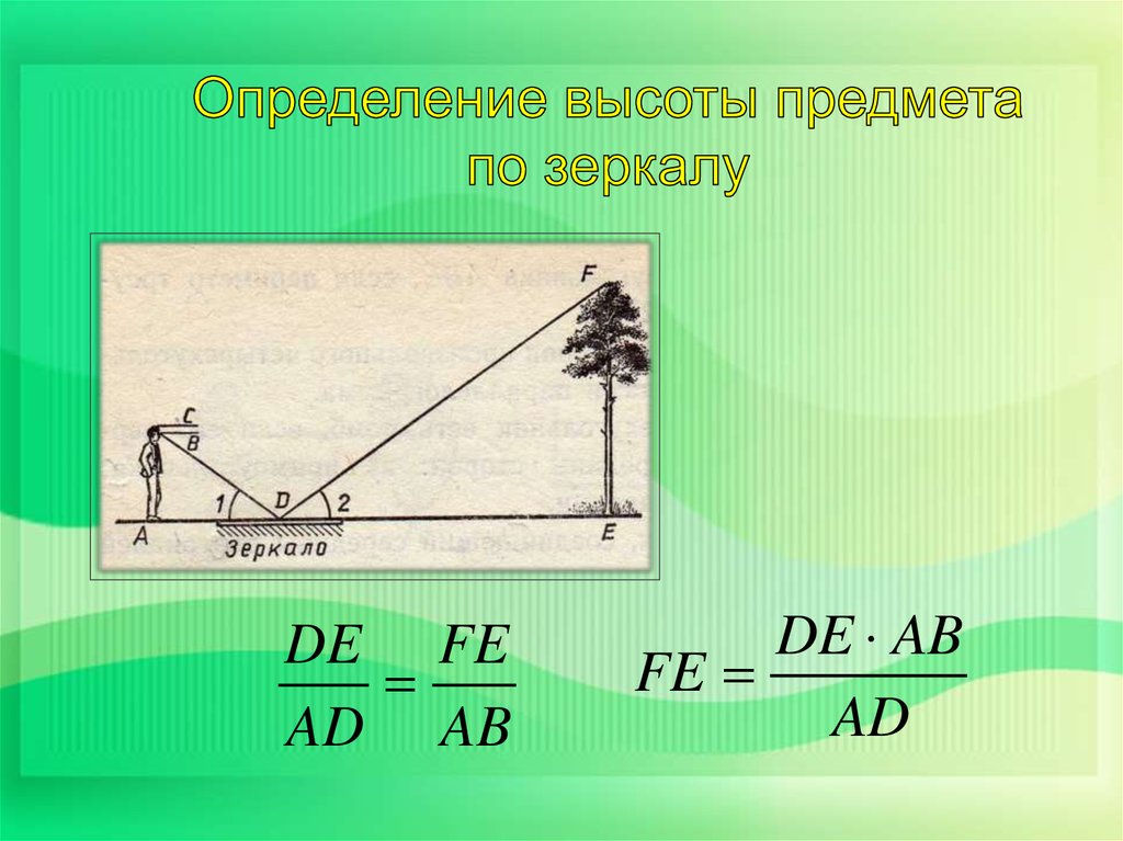 Подобие 6. Измерение высоты предмета. Измерение высоты дерева с помощью зеркала. Определение высоты предмета. Высота определение.