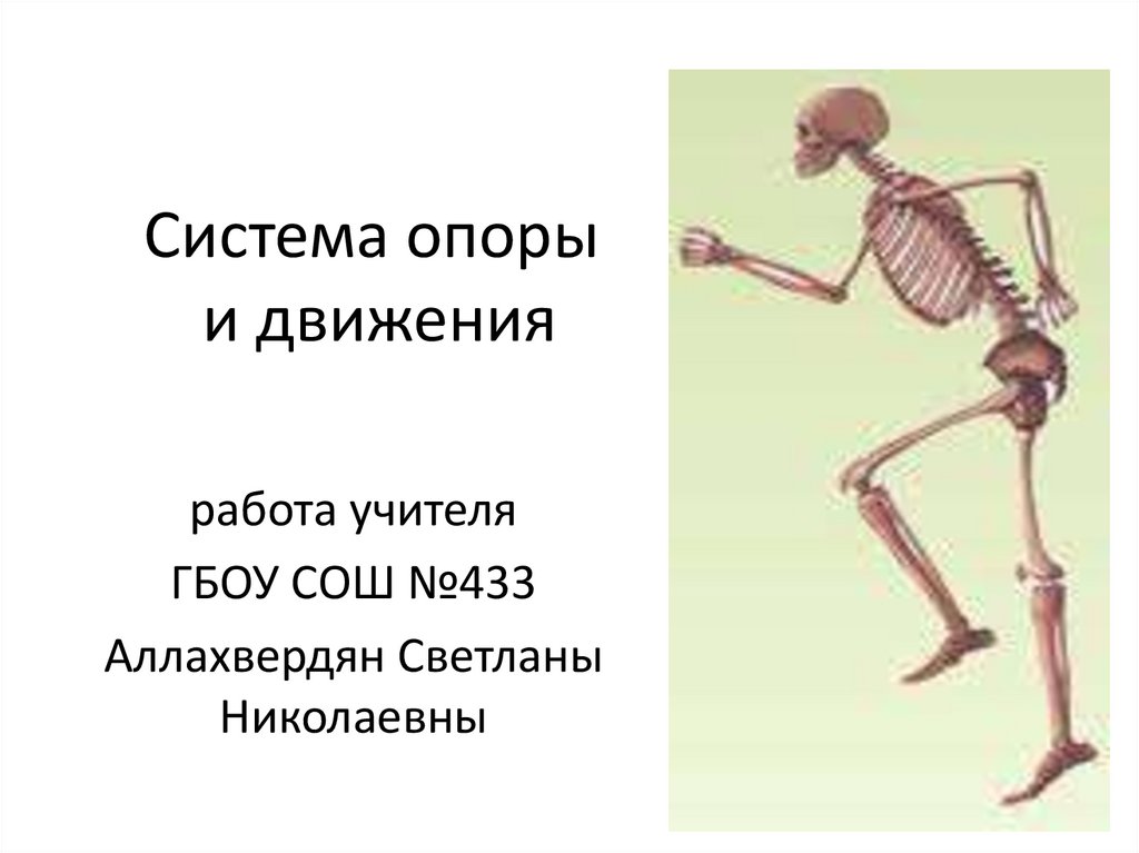 Рабочий лист опора и движение 3 класс. Система опоры и движения. Опорно двигательная система. Опорно двигательная система паука.