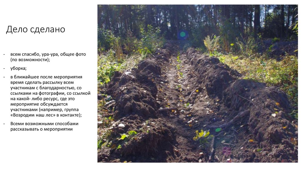 Дело сделано