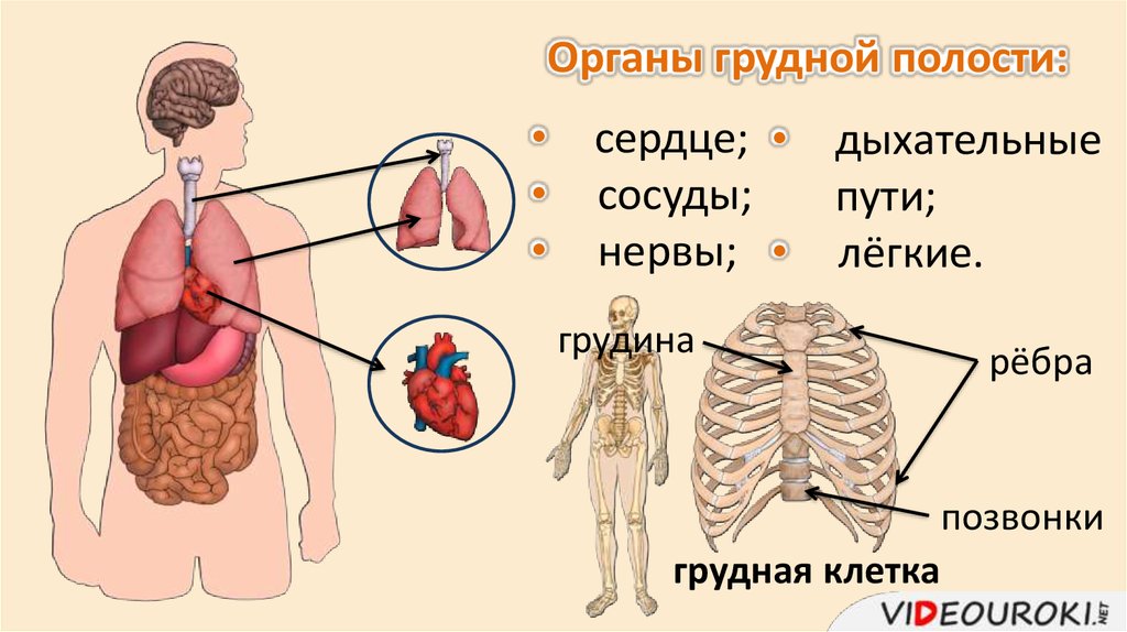 Общий обзор