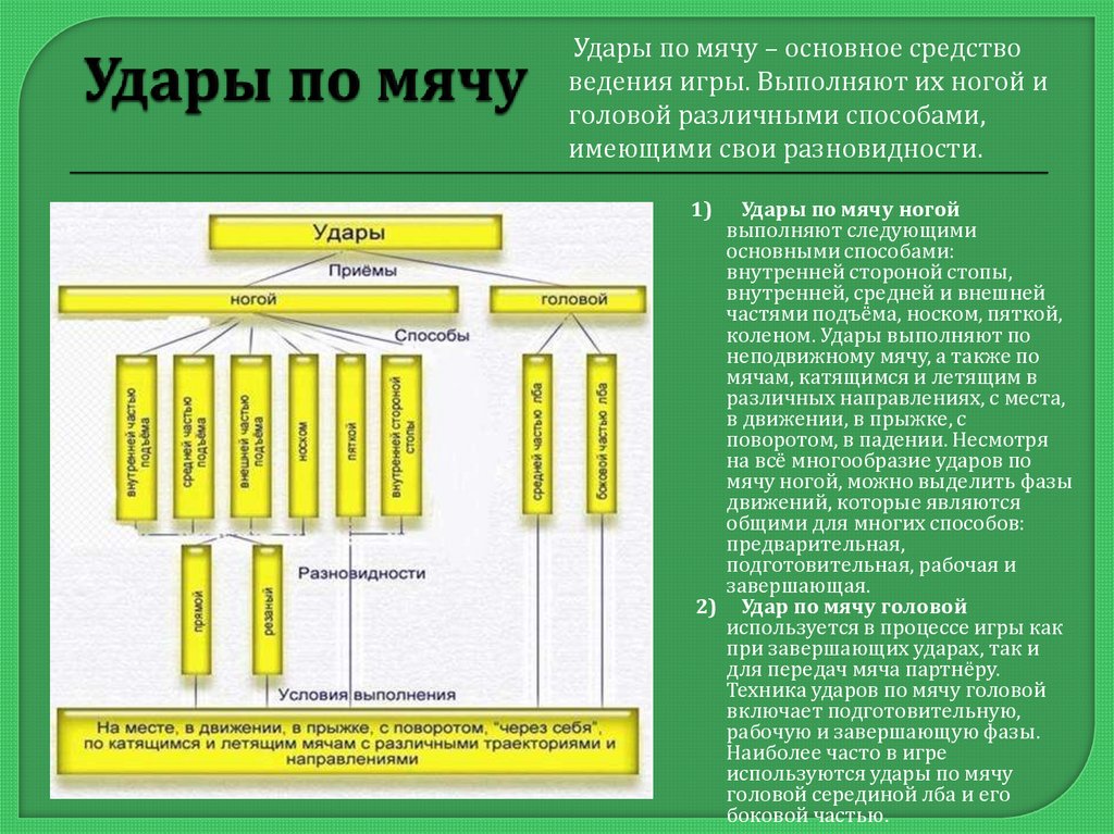 Составьте схему последовательного обучения ударам ногой и опишите технику перечисленных приемов