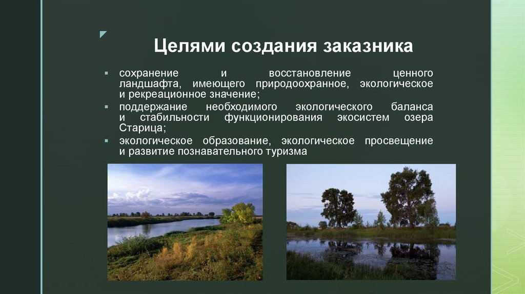 Заповедники создаются с целью. Цель создания заказников. Цель создания заповедников. Создание природных заповедников. Заповедники Омской области.