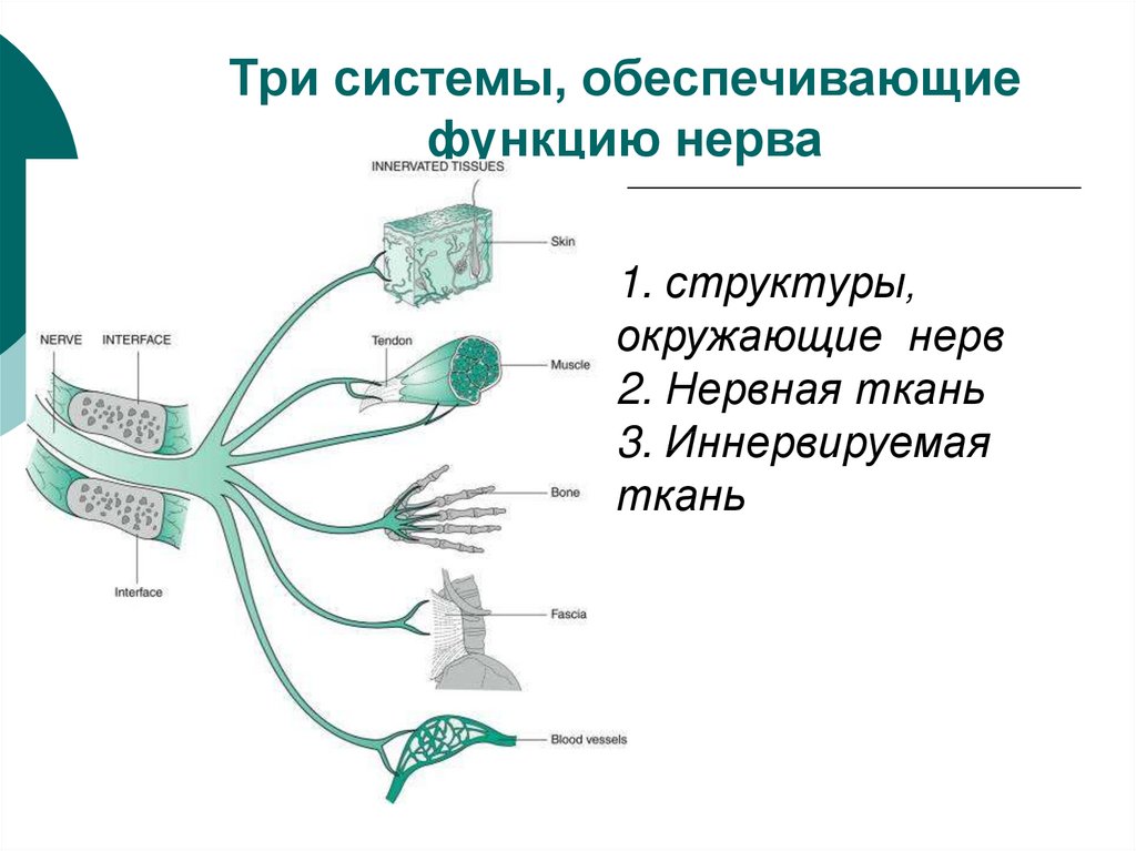 Три системы