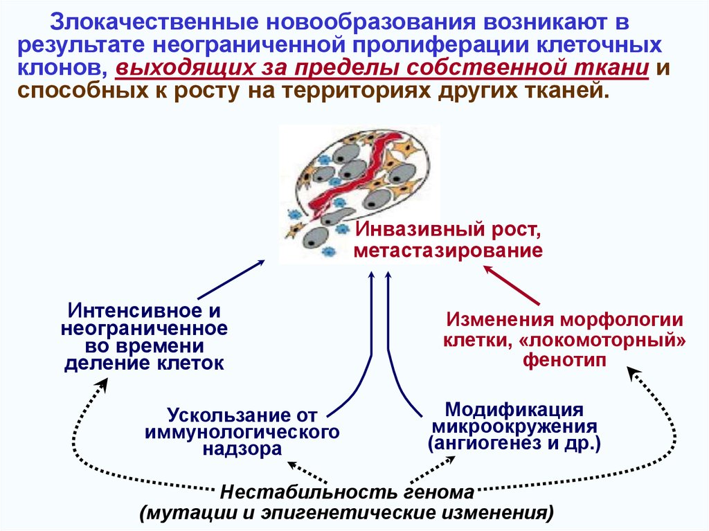 Изменения 6. Клоны клеток злокачественных новообразований. Процесс озлокачествления клетки. Вторичные изменения в злокачественных опухолях. Деление злокачественной опухоли.