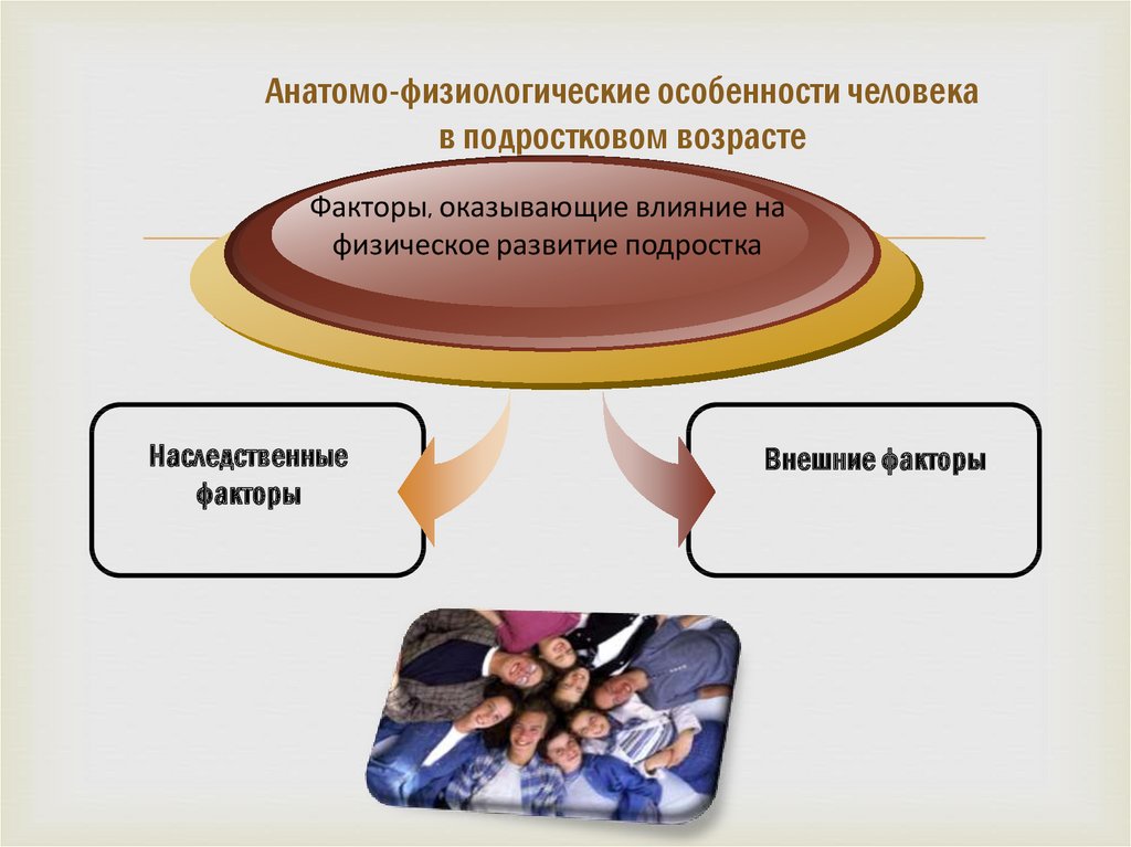 Физиологические особенности человека. Анатомо-физиологические особенности человека. Анатомо физические особенности человека в подростковом возрасте. Анатомо-физиологические особенности подросткового возраста ОБЖ. Анатомо физиологические факторы.