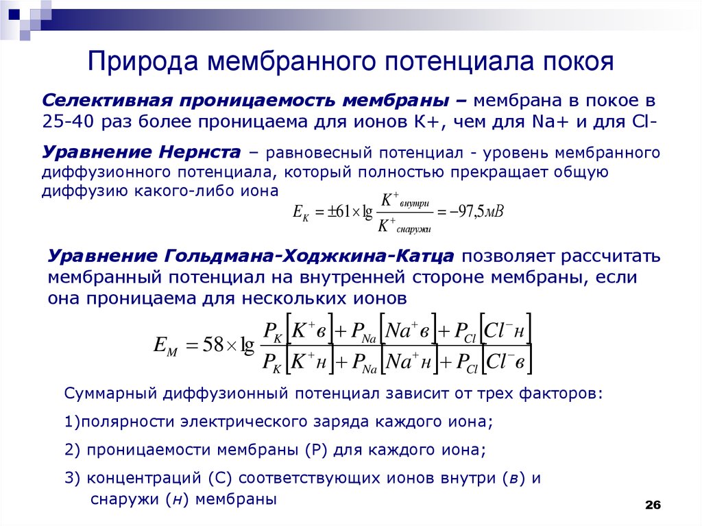 Проницаемость мембраны для ионов. Природа мембранного потенциала потенциала покоя. В невозбужденной клетке мембрана проницаема для ионов. Проницаемость Иона для мембраны.