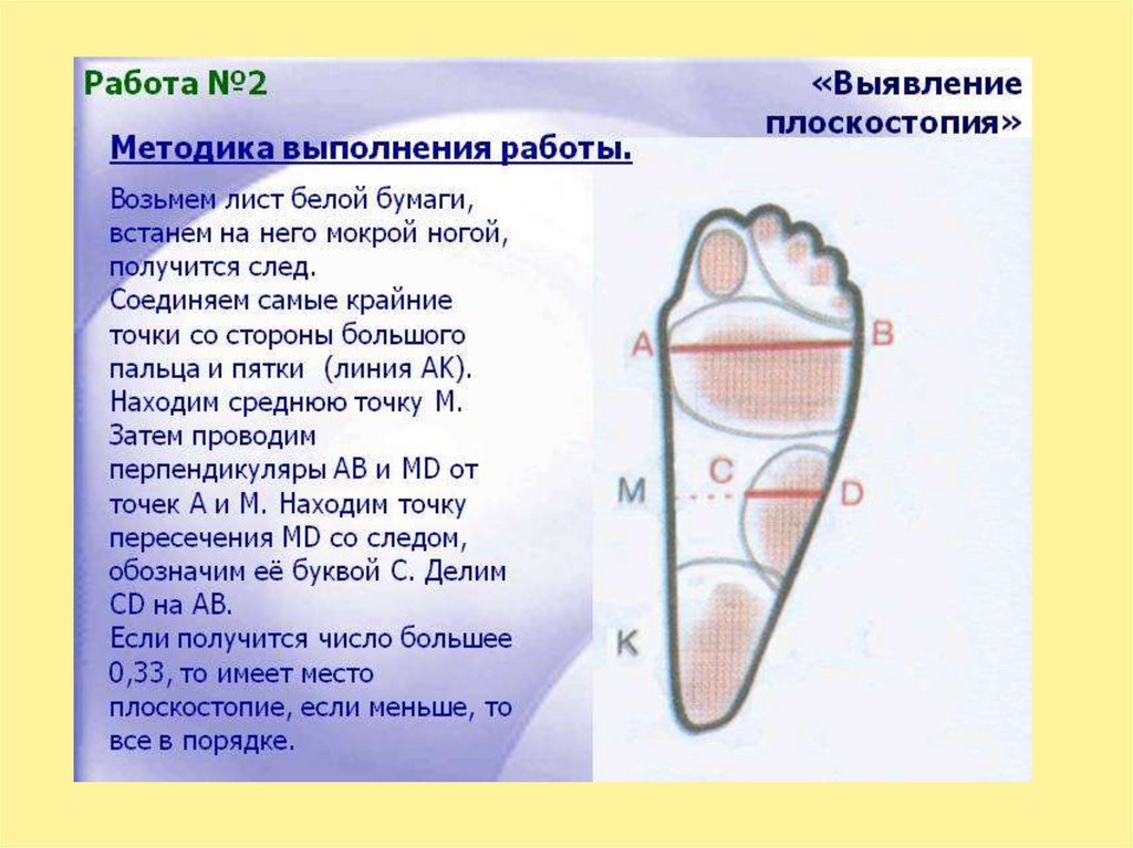 Презентация нарушение осанки и плоскостопие 8 класс презентация