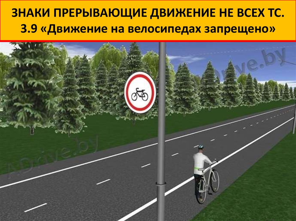 Разрешено передвижение. Движение по велосипедной дорожке. Велосипед на автомагистрали. Знак автомагистрали для велосипедистов. Велосипедная дорожка ПДД.