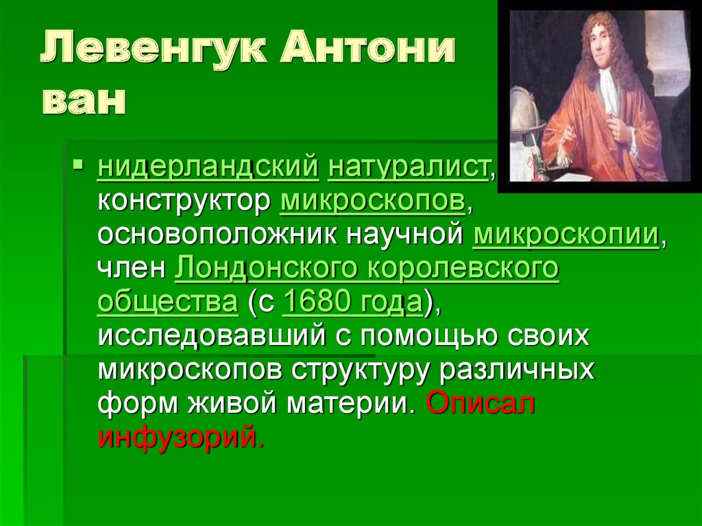 Целей ученый. Антони Ван Левенгук (24.10.1632г – 26.08.1723г). Нидерландский натуралист основоположник научной микроскопии. Левенгук портрет годы жизни. Антони Ван Левенгук Карл Линней.