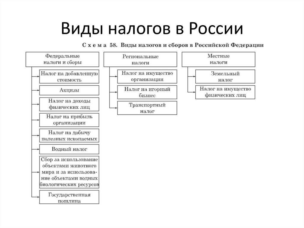 Какие бывают налоги. Виды налогов и сборов в РФ. Составьте схему виды налогов. Схема виды налогов и сборов в РФ. Виды налогов в РФ схема.