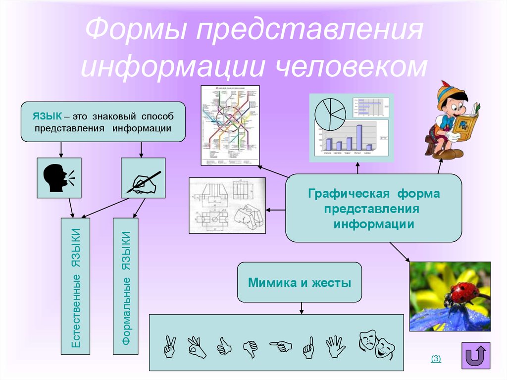 Примеры различной информации. Формы предстваленияинформации. Способы представления информации. Формы представления инф. Графические формы представления информации.