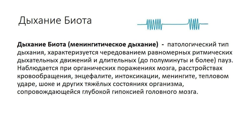 При дыхании возникает. Патологическое дыхание Биота. Дыхание Биота механизм развития. Дыхание Биота и Чейна Стокса. Дыхание Чейна Стокса патогенез.