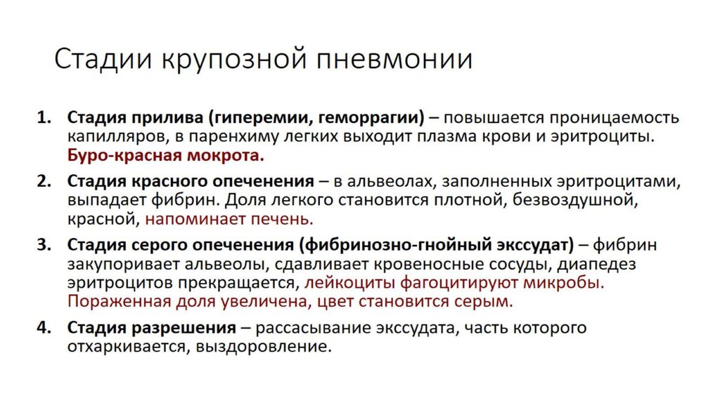 Стадии крупозной пневмонии