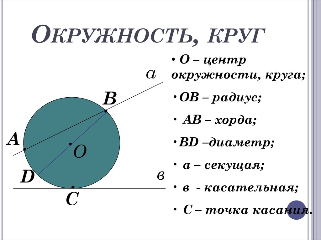 Окружность это в геометрии. Окружность. Круги и окружности.