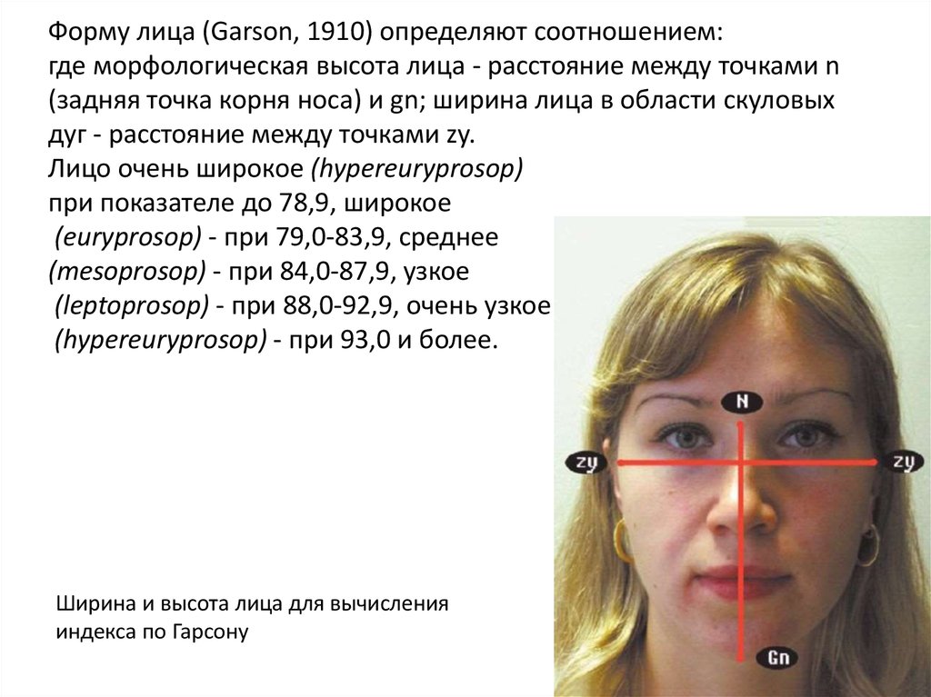 Определить форму носа по фото