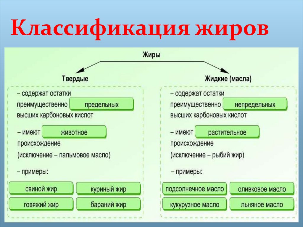 Чем отличаются твердые жиры от жидких изобразите