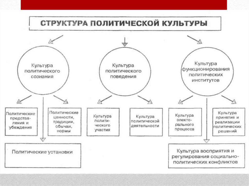 Структура политической деятельности компоненты