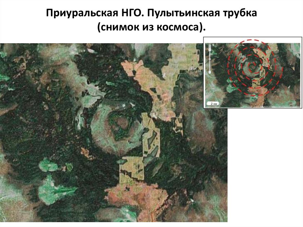 Приуральская НГО. Пулытьинская трубка (снимок из космоса).