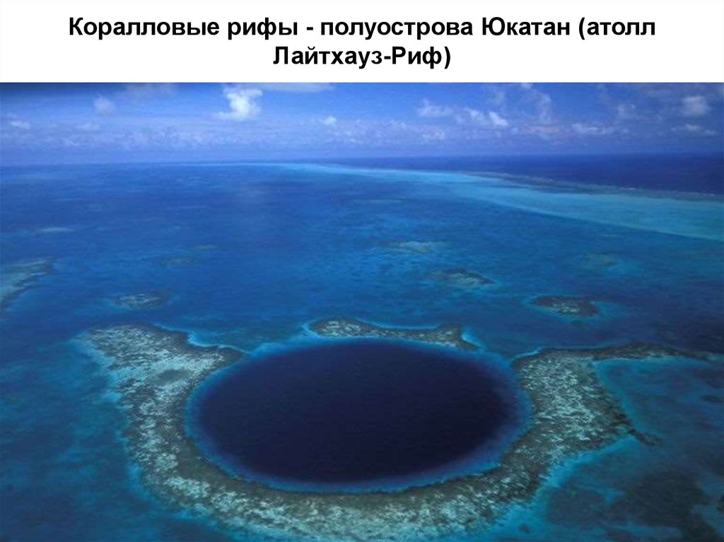 Коралловые рифы - полуострова Юкатан (атолл Лайтхауз-Риф)